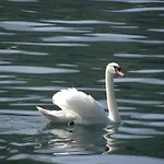 Daire View Acquaseria