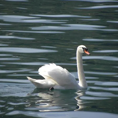 Apartamento View Acquaseria