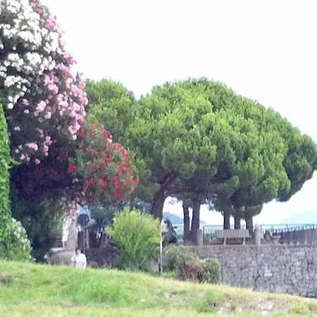 Lake View Acquaseria