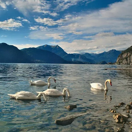 Lake View Apartment
